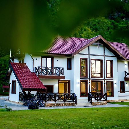 Pensiunea Lavanda Bratca Exterior foto