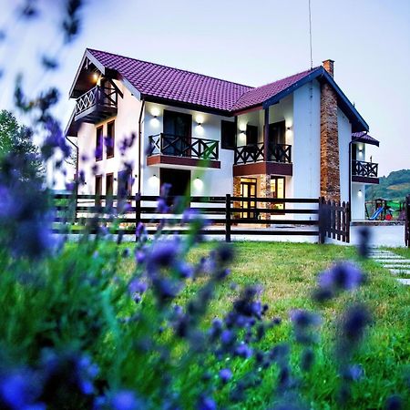 Pensiunea Lavanda Bratca Exterior foto