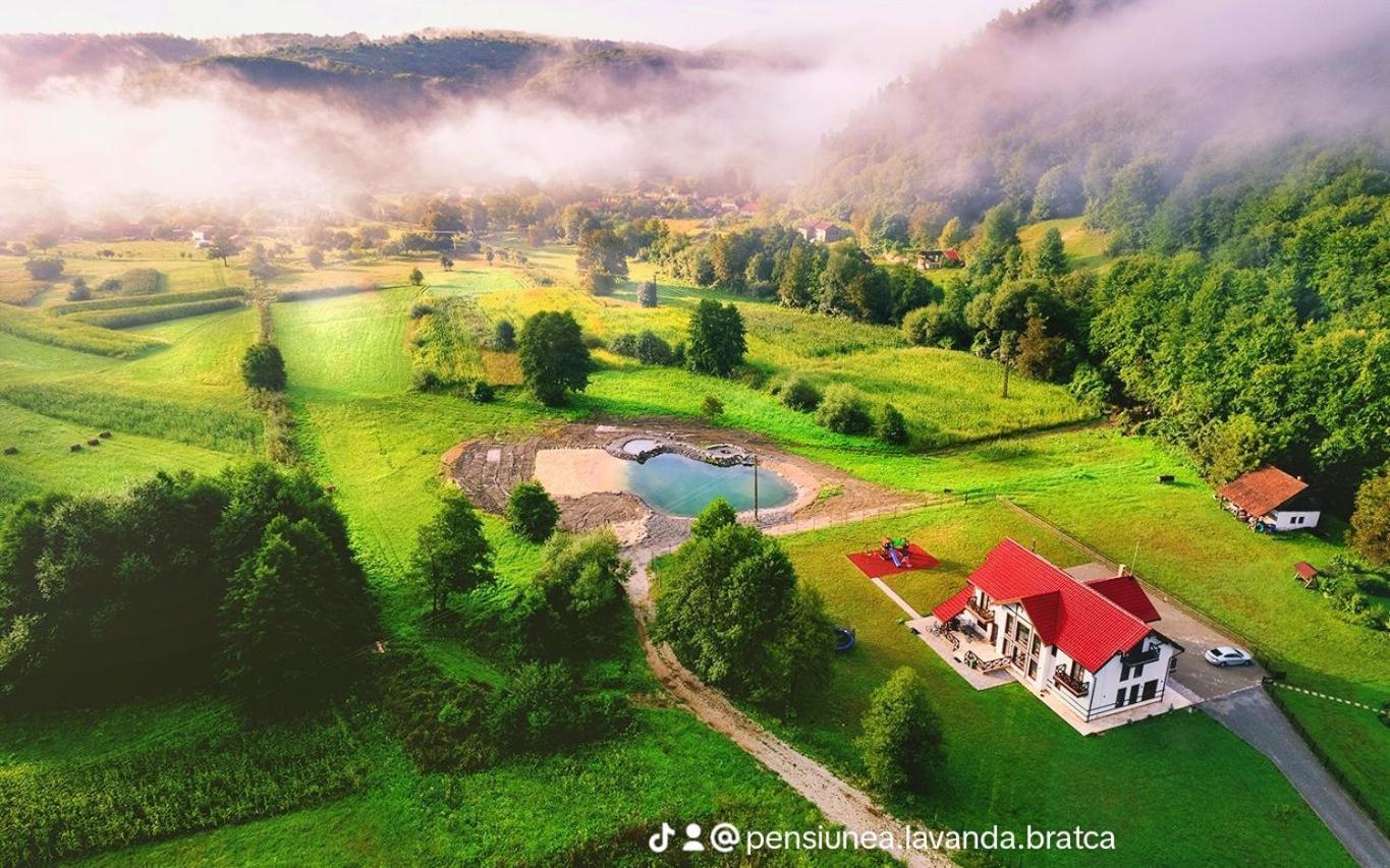 Pensiunea Lavanda Bratca Exterior foto
