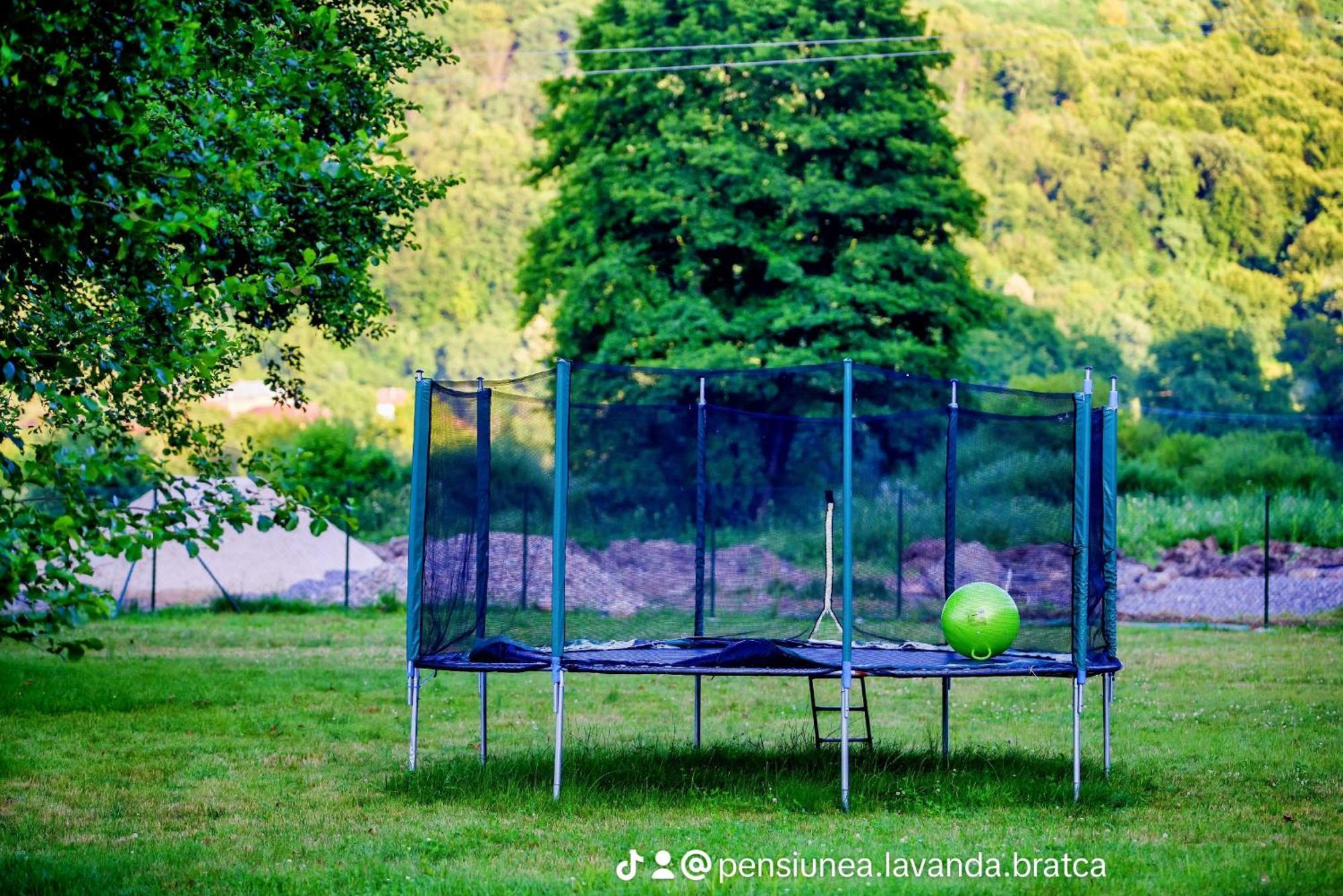 Pensiunea Lavanda Bratca Exterior foto